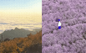 Chinh phục "thiên đường mây" Tà Chì Nhù mùa hoa chi pâu, chiêm ngưỡng vẻ đẹp tinh khôi của núi rừng Tây Bắc