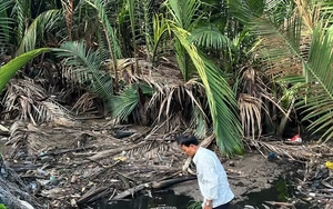 Ô nhiễm chưa dứt, bãi rác còn 'bốc mùi': Vĩnh Long ra lệnh tổng kiểm tra các nguồn thải lớn