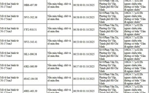294 chủ xe đi ngược chiều, đi trên vỉa hè có biển số sau nhanh chóng nộp phạt nguội theo Nghị định 168