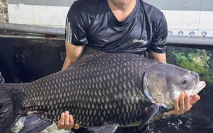 Lão nông U80 thuần hóa “thủy quái” sông Mê Kông suýt tuyệt chủng, trở thành tỷ phú