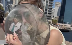 Khách Tây làm 1 việc "khó hiểu" trên đường phố Úc: Nguyên nhân đến từ thứ không ai ngờ tới