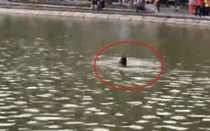 Đã xác định danh tính cô gái đuối nước tử vong ở hồ Hoàn Kiếm, người thân tiết lộ thêm thông tin