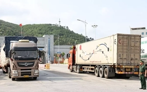 Hàng trăm container sầu riêng 'mắc kẹt' tại cửa khẩu Lạng Sơn