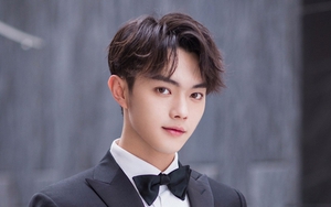 Hàng loạt nghệ sĩ lên tiếng cầu cứu