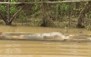 Người đàn ông mặc áo xanh không giấy tờ tùy thân chết nổi trên sông