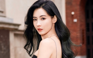 Vạch mặt người “chống lưng” cho Trương Bá Chi