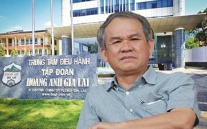 Hoàng Anh Gia Lai của Bầu Đức bắt đầu trồng cà phê