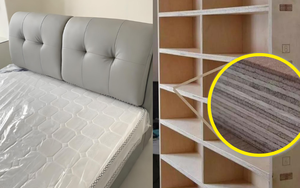 Trời ơi sống 40 năm mới biết: 8 thứ trong nhà dễ là ổ phát tán Formaldehyde, hít mỗi ngày mà tưởng vô hại