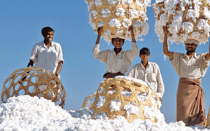 'Khách ruột' Mỹ chi hơn 13 tỷ USD chốt đơn mặt hàng này của Việt Nam, 66 quốc gia khác đua nhau săn mua