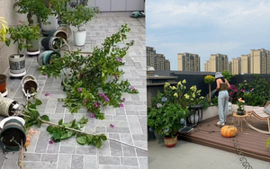 Penthouse – giấc mơ sang chảnh biến thành “địa ngục trên cao”: Tôi đã sống và hối hận!