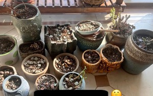 Tôi ước tất cả mọi người dứt khoát buông bỏ 7 thứ "chật nhà" này