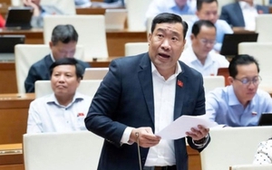 ĐBQH: Người dân Việt Nam có 400-500 nghìn tấn vàng nhưng phần lớn nằm trong két