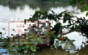 Phát hiện thi thể mắc trên cành cây giữa ruộng