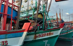 Cà Mau khởi tố 11 vụ án vi phạm chống khai thác IUU