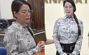 Diễn viên Trương Ngọc Ánh bị bắt vì tội gì?