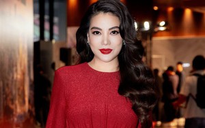 Vụ Trương Ngọc Ánh bị bắt: Doanh nghiệp do nữ diễn viên từng làm Chủ tịch chỉ có 3 lao động nhưng nhận góp vốn 9,1 triệu USD từ nhà đầu tư nước ngoài