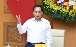 Phó Thủ tướng đề nghị Vingroup báo cáo nội dung này trước 6/10