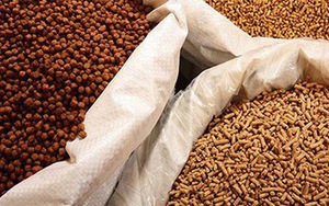 Một mỏ vàng mới nổi của Việt Nam được Campuchia tích cực săn lùng: Là cứu tinh cho chăn nuôi, nước ta đứng thứ 8 thế giới về sản lượng