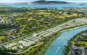 Doanh thu tăng đột biến 19.041%, doanh nghiệp này làm gì mà "tiền vào như nước"?