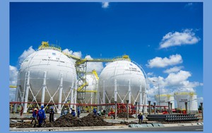 Số nhân viên nam nghỉ thai sản tại PV Gas gấp gần 5 lần nhân viên nữ trong năm 2024