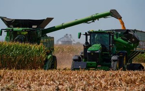 'Nhờ' Việt Nam và Trung Quốc nhưng theo 2 cách hoàn toàn khác nhau, xuất khẩu một mặt hàng nguyên liệu quan trọng của Mỹ sắp lập kỷ lục năm thứ 2 liên tiếp