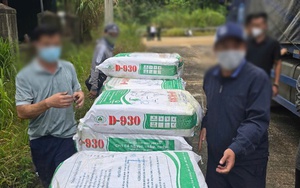 Bắt xe đầu kéo chở nửa tấn ma tuý xếp chồng như gạo từ Lào vào Việt Nam