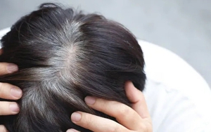 Thứ lá mọc đầy vườn, ai ngờ là 'thần dược' ngăn tóc bạc sớm