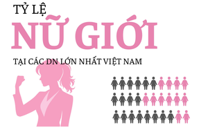 'Đế chế' của ông Phạm Nhật Vượng chỉ có 37,3% nhân sự nữ nhưng các nữ tướng chiếm 59%, ngân hàng là 'thánh địa' của giới nữ ngoại trừ Sacombank