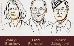 Giải Nobel Y sinh 2025 được trao cho ba nhà khoa học nhờ khám phá cơ chế 'phanh' hệ miễn dịch của con người