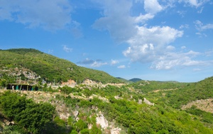 Việt Nam có rừng thuộc dạng quý hiếm ở Đông Nam Á, cả nước chỉ có 1, ngay gần Nha Trang, Phan Thiết