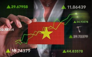 Không chỉ ngân hàng và chứng khoán, đây là nhóm cổ phiếu có thể "hút tiền" sau nâng hạng