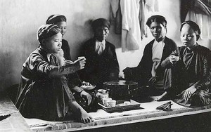 Đặc sản đắt nhất thế giới 30 tỷ/kg, Việt Nam có loại tương tự, ngon không kém và cực kỳ phải chăng