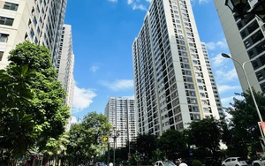 Kiến trúc sư 18 năm kinh nghiệm tiết lộ: 3 kiểu căn hộ này là "vàng ròng", càng ở càng sướng, bán lại lời gấp đôi