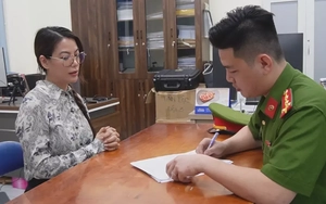 Luật sư phân tích yếu tố nước ngoài trong vụ diễn viên Trương Ngọc Ánh