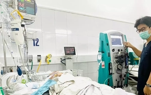 Dọn dẹp sau mưa lũ, nhiều người bị rắn độc cắn