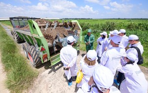 Mở khóa tự nhiên bên trong "resort bò sữa" của Vinamilk: Robot phục vụ thức ăn, phát nhạc cho bò, biến phân bò thành phân bón hữu cơ, biogas thanh trùng sữa cho bê
