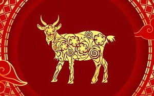 Tổng quan tử vi tuổi Mùi năm 2026