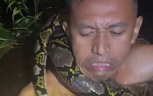 Cảnh tượng kinh hoàng: Trăn khổng lồ kéo người trên thuyền xuống sông ở Indonesia