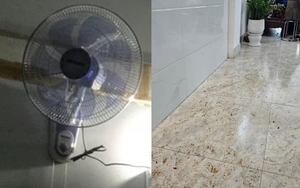 Trời nồm có nên bật quạt số to liên tục để làm khô nhà? Giải thích của chuyên gia gây bất ngờ