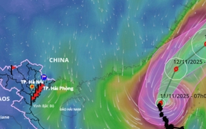 Lý giải đường đi bất thường của bão số 14 Phượng Hoàng