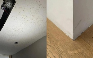 Đẹp trên mạng nhưng thảm họa ngoài đời: 6 thiết kế khiến cả nhà tôi hối hận sau vài tháng ở