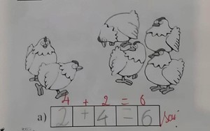 Bài toán lớp 1 khiến cộng đồng mạng chia phe tranh luận