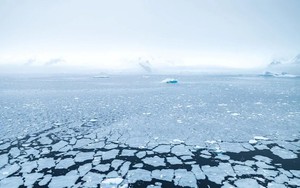 Bất ngờ dưới lớp băng Nam Cực khiến giới khoa học sửng sốt