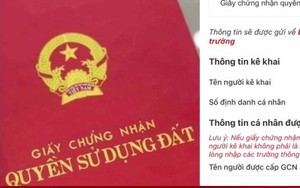 Người dân bắt đầu được nộp sổ đỏ qua VNeID, cách làm thế nào?