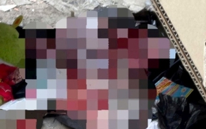 Bé trai sơ sinh tử vong tại bãi đất trống trong khu Ecolake