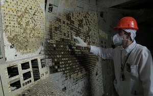 Bí ẩn về loài nấm đen mới được phát hiện, có thể 'ăn' bức xạ ở Chernobyl