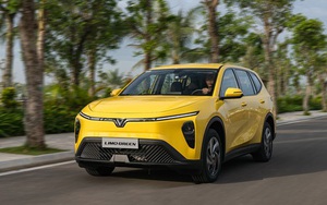 VinFast lập 'siêu kỷ lục' bán hơn 20.000 xe/tháng, Limo Green thành 'gà đẻ trứng vàng' mới