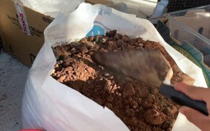 Loại bã đồ uống ai cũng bỏ đi lại là "bảo bối" của chuyên gia: Đặt 1 nắm vào góc nhà sẽ thấy thay đổi ngay