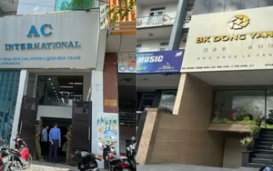 Nhân viên thú y giả bác sĩ ngoại