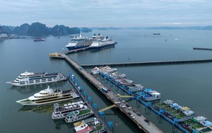 Khung cảnh ở Hạ Long ngay lúc này khiến nhiều người tò mò, nhận xét: "Ở đây đang thực sự có gì?"